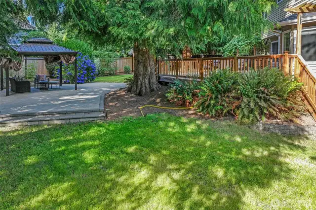 The yard’s thoughtful landscaping incorporates native ferns, flowering plants, and shaded lawn areas that blend beauty with low-maintenance ease.