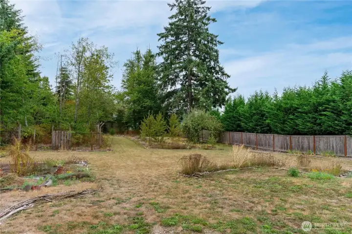 View from home of large second lot behind home.
