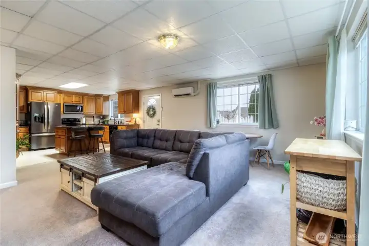 Lower Level Living Room