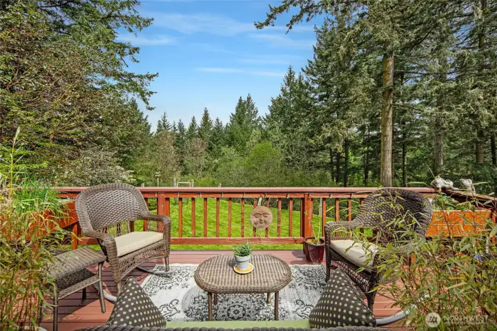 Elevated outdoor entertaining with warm wood decking, built-in planters, and tranquil treetop views that make every season feel like a retreat.