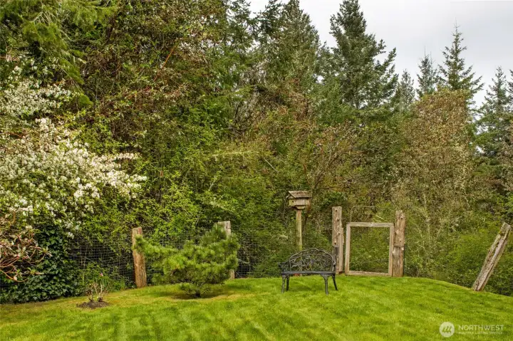 Serene backyard setting with manicured lawn, mature trees, and peaceful privacy—ideal for enjoying the quiet beauty of island living.