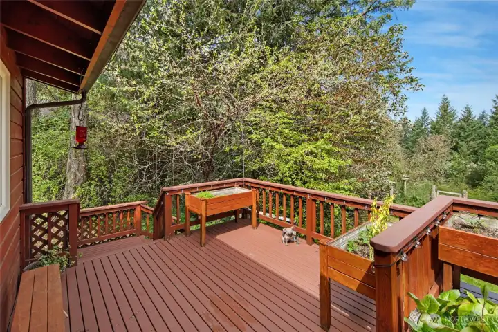 Private deck access extends the living space outdoors, blending indoor comfort with the beauty of the surrounding natural landscape.