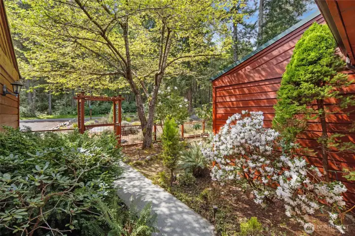 Thoughtfully landscaped entry garden with mature plantings and fenced courtyard creates a warm and welcoming first impression.