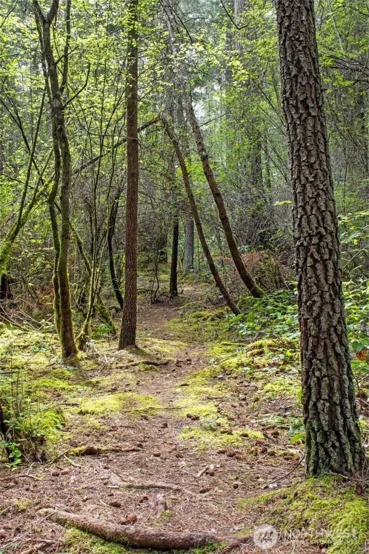 Natural wooded trail invites quiet walks, outdoor exploration, and connection to the surrounding beauty of San Juan Island’s native landscape.