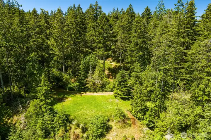 Peaceful wooded setting