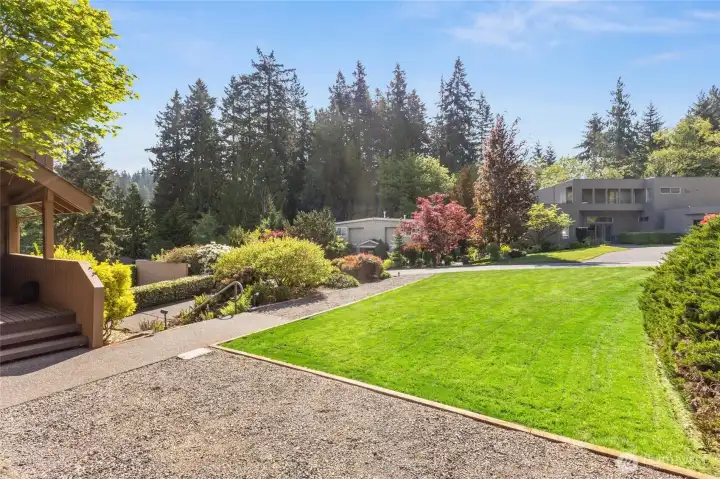 Beautifully landscaped front yard Beautifully landscaped front yard