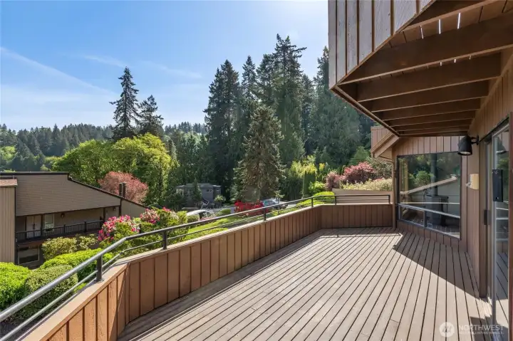 The back of the wraparound deck is perfect for entertaining or watching eagle's soar The back of the wraparound deck is perfect for entertaining or watching eagle's soar