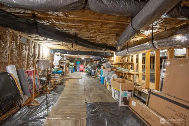 Unfinished Basement