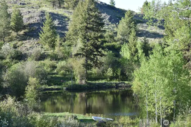 2 Year round ponds