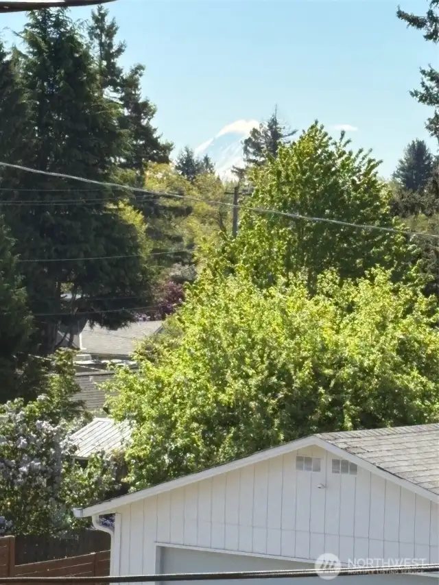 Mount Rainier in the distance
