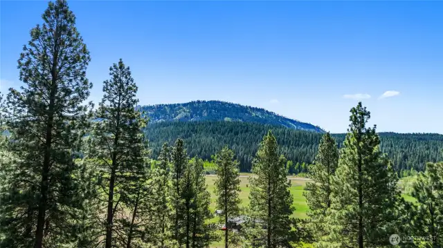 View from the house