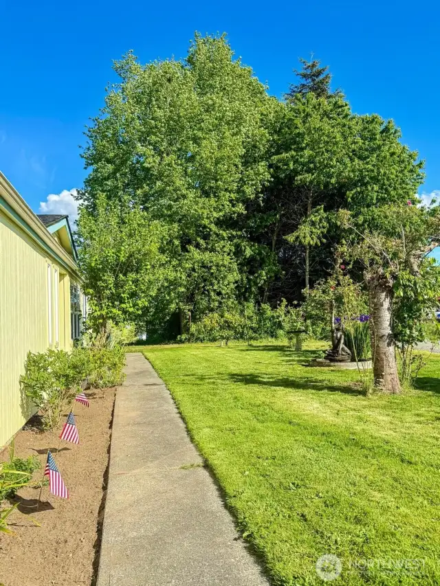 Walkway towards front door