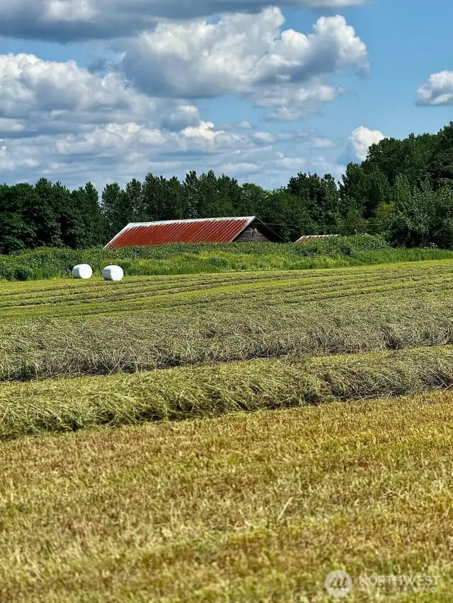View of old classic barns never grows old.