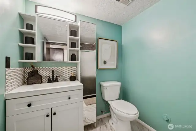 Lower level bathroom with shower