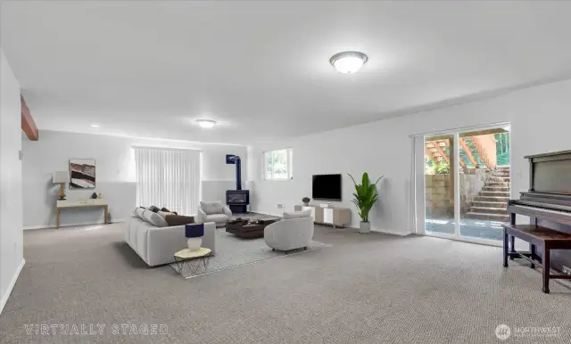 Large downstairs rec room with propane stove .