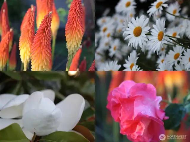 The established plants and fruit trees will blow you away