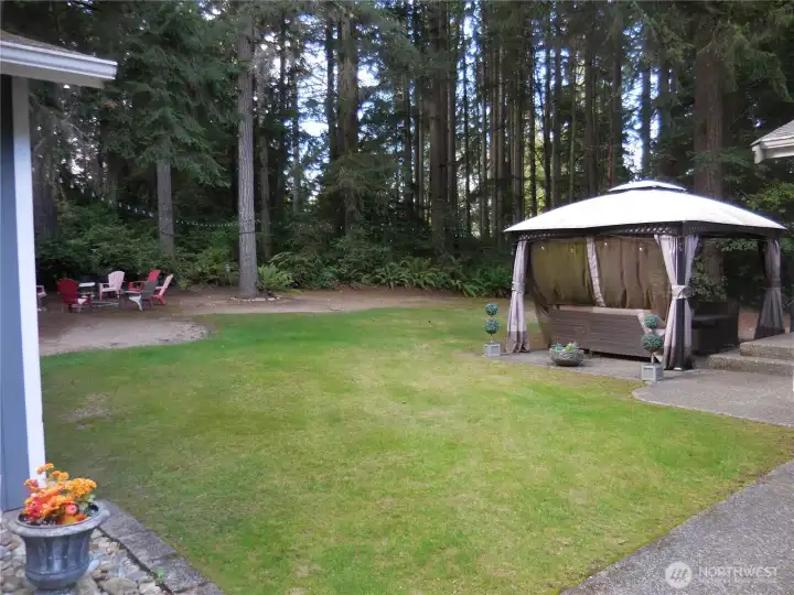 Back Yard with Back Door Entry