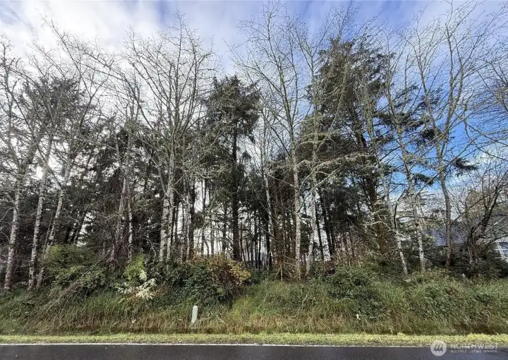 Vacant lot ready for your new beach home, or camping lot!
