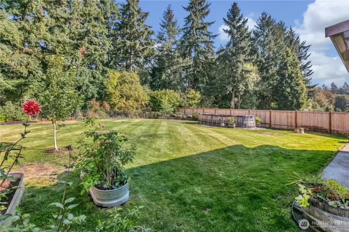 A spacious backyard with plenty of room for entertaining, play, and all your outdoor activities.
