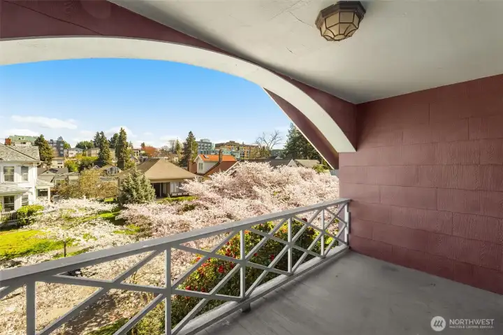 Private deck off bedrooms overlooking canopy of cherry blossoms