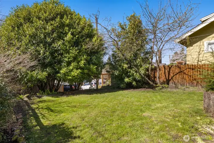 Spacious, nearly level backyard