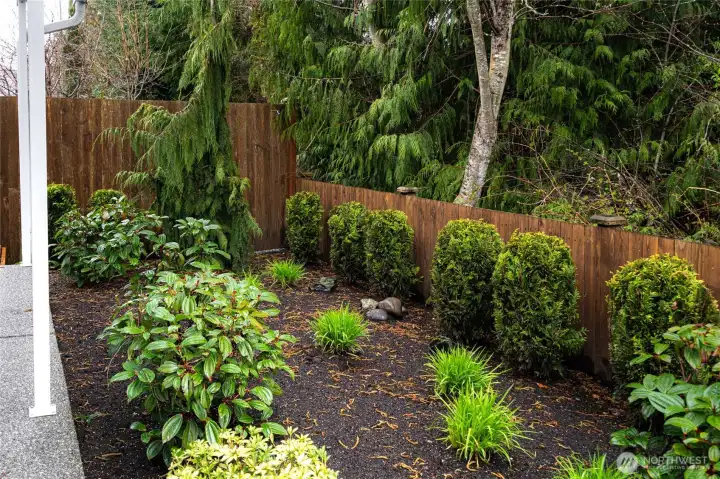 Lush garden bed with shrubs and greenery