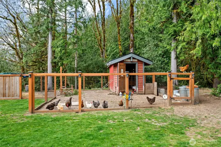 Amazing chicken coop, the start of your new HOBBY FARM.