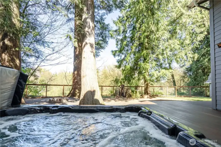 Yes the hot tub is included. Beautiful backyard backing to the Bertrand Creek and Bertranda Reserve