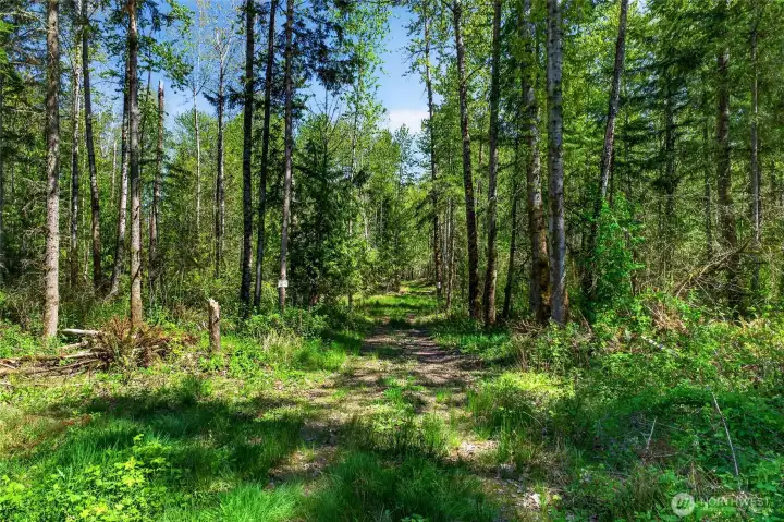 A trail has been thoughtfully cut through the property, making it easy to explore and truly experience the land firsthand.