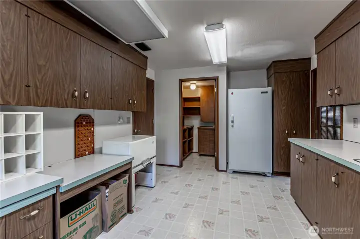 Laundry Room looking into Walk-in Pantry & Laundry shoot