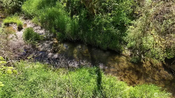 Creek