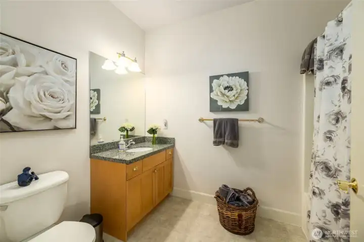 Guest bath...