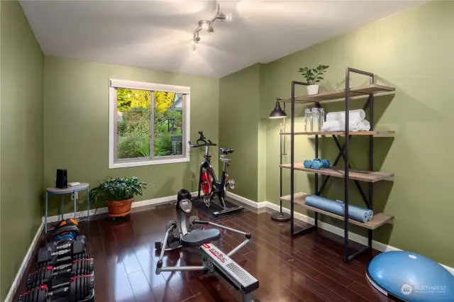 Lower 4th bedroom currently used as gym