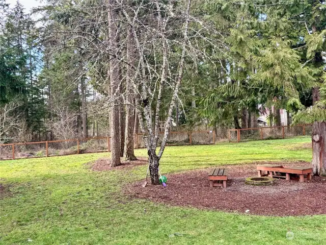 Looking from the back deck toward the extra acreage