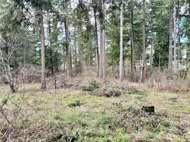 the back acreage goes way back.  Fully fenced