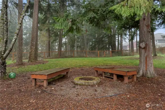 firepit with benches