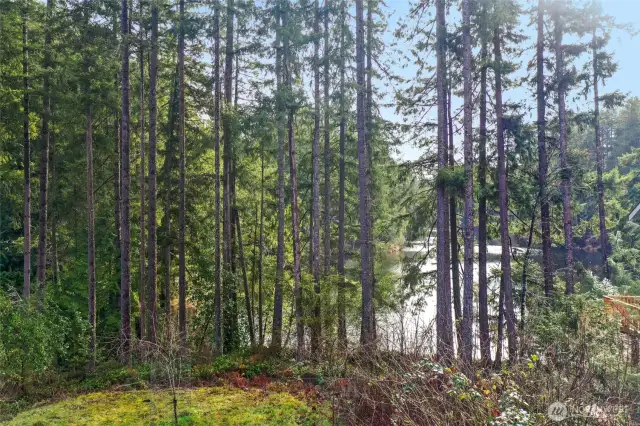 View from parcel of Blue Lake
