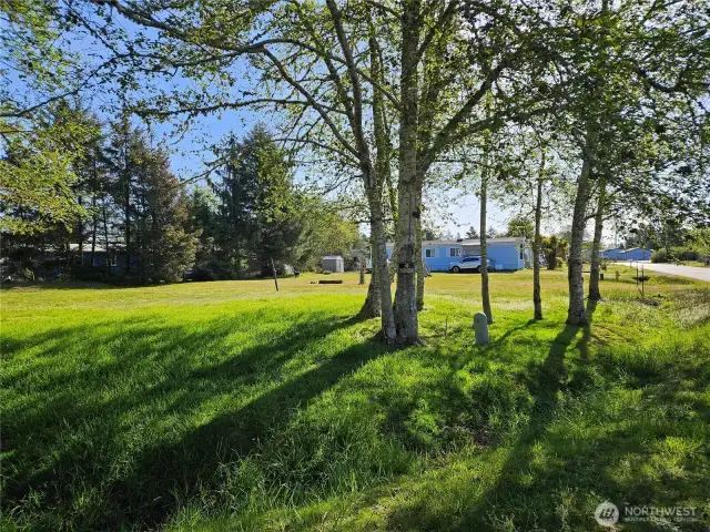 Plenty of room to build, or divide into two parcels!