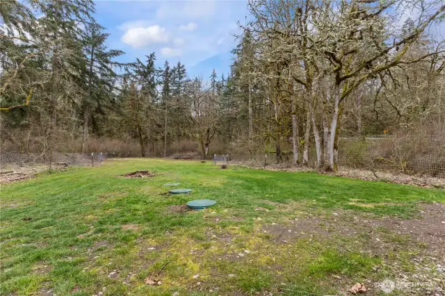 Partially fenced backyard