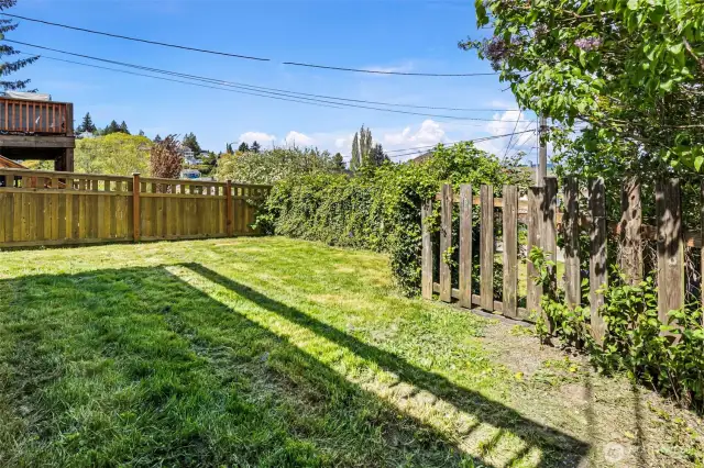 Fenced back yard