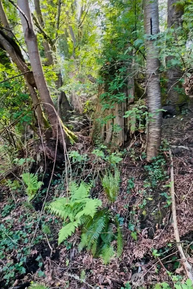 South