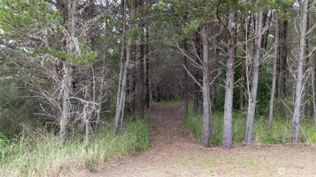 Path to the beach