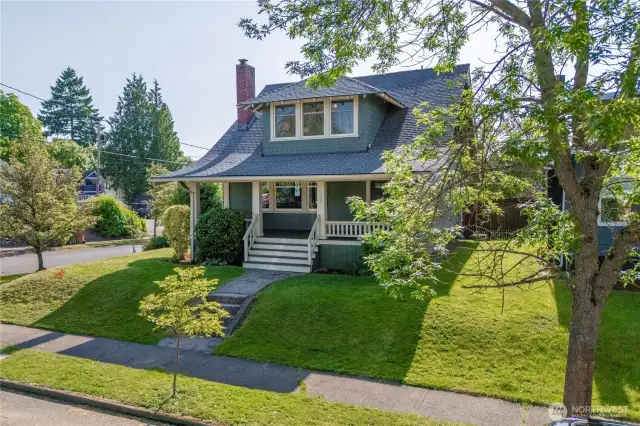Raised Lot on a Tree lined street