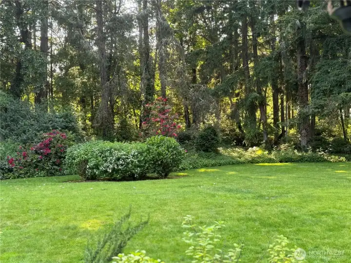 Your morning cup of coffee is so much more enjoyable when this is your scene.