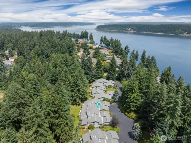 Once again, you can see your home as it is nestled into this perfect paradise,