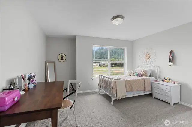 All four of the bedrooms in this home offer amazing space!
