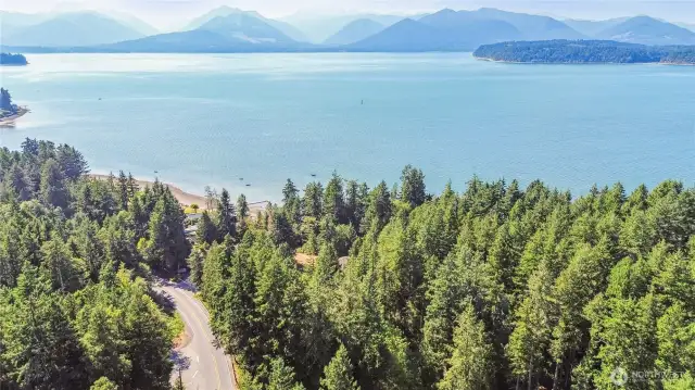 "Eagle Beach" is just down the road, and a perfect spot to capture stunning wildlife photos!