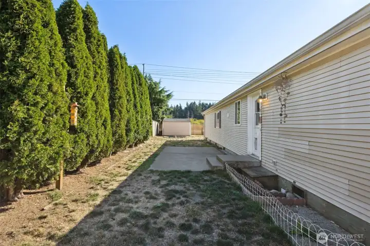 large backyard