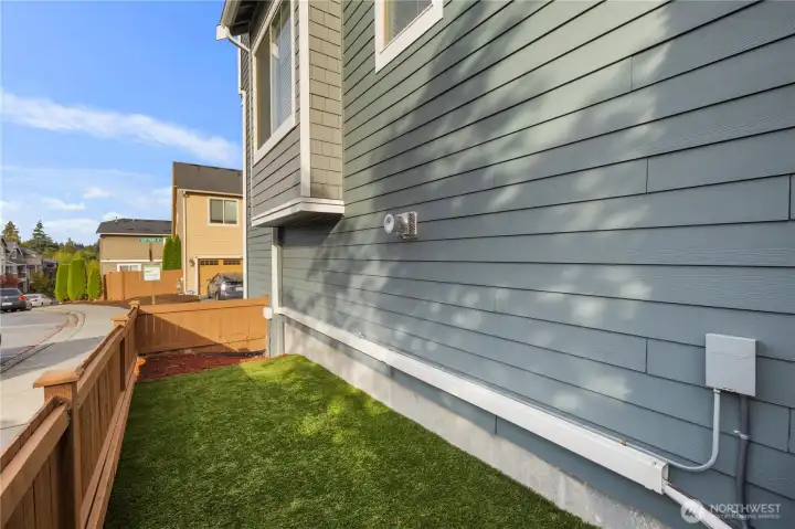 Turf grass for easy maintenance