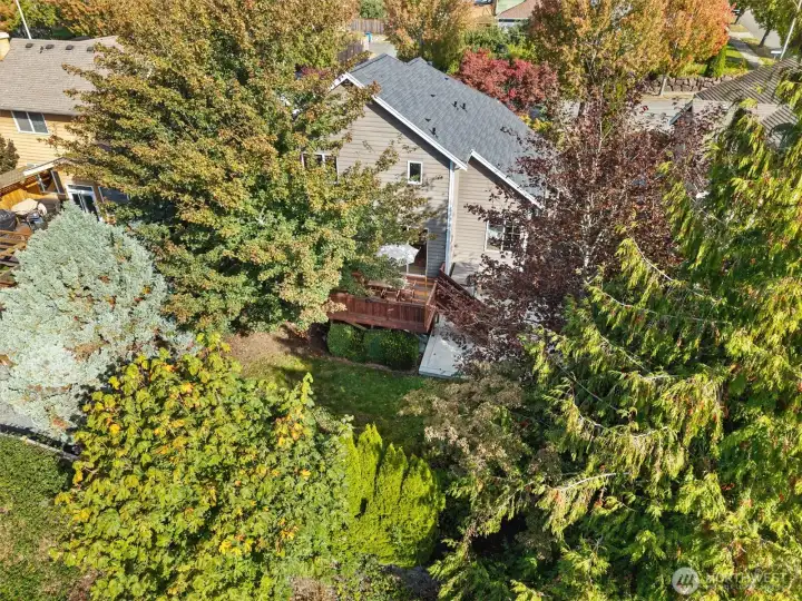 Private backyard!